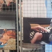 Une exposition photographique pour sensibiliser à l’ergonomie du travail
